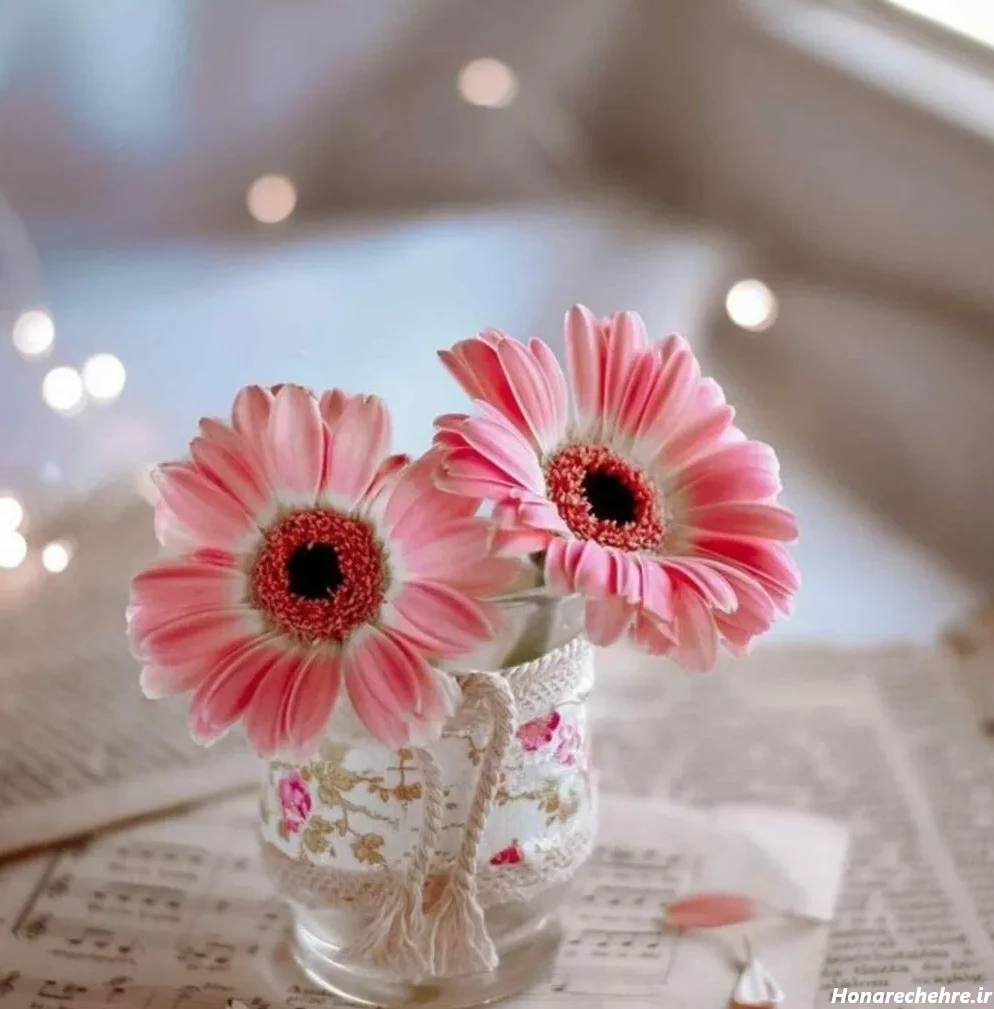 عکس پروفایل شیک باکلاس زنانه