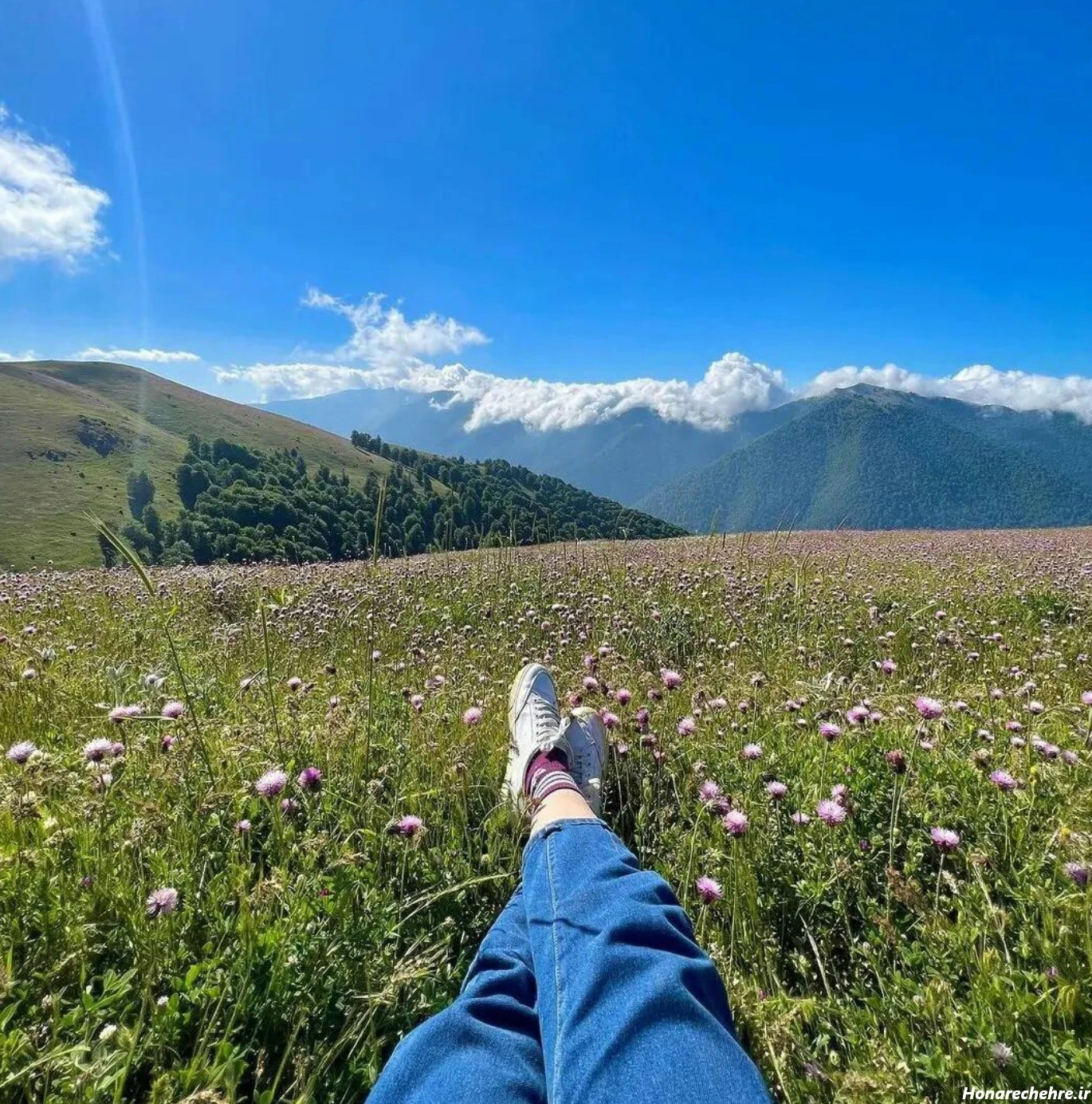 عکس بنفش لاکچری