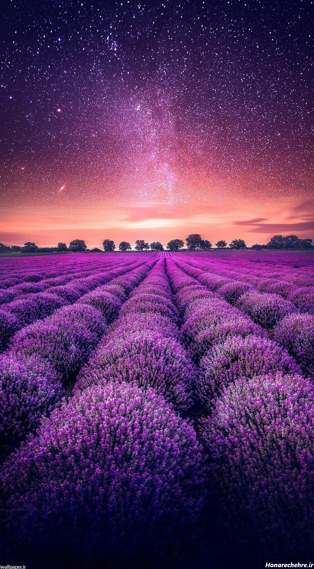 بک گراند بنفش ساده