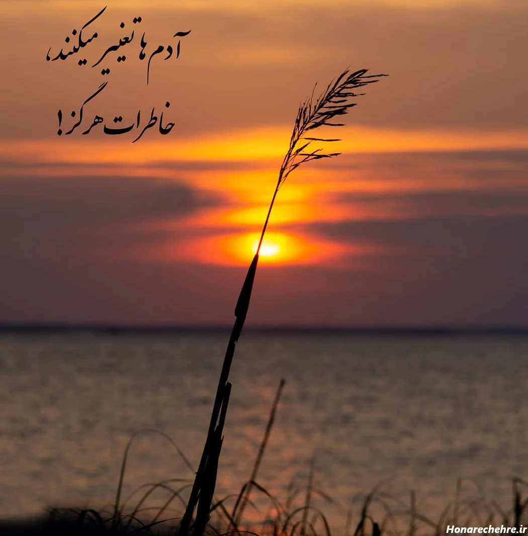 عکس پروفایل شیک باکلاس زنانه