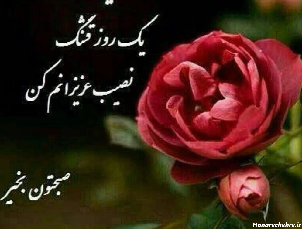 کلیپ صبح بخیر شنبه اول هفته