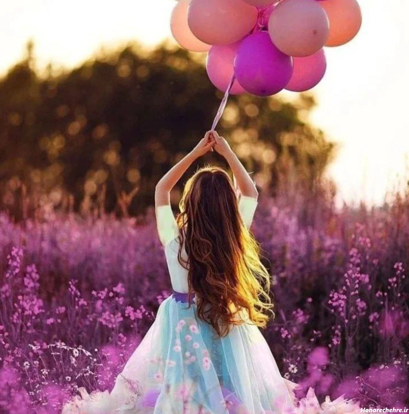 عکس بنفش لاکچری