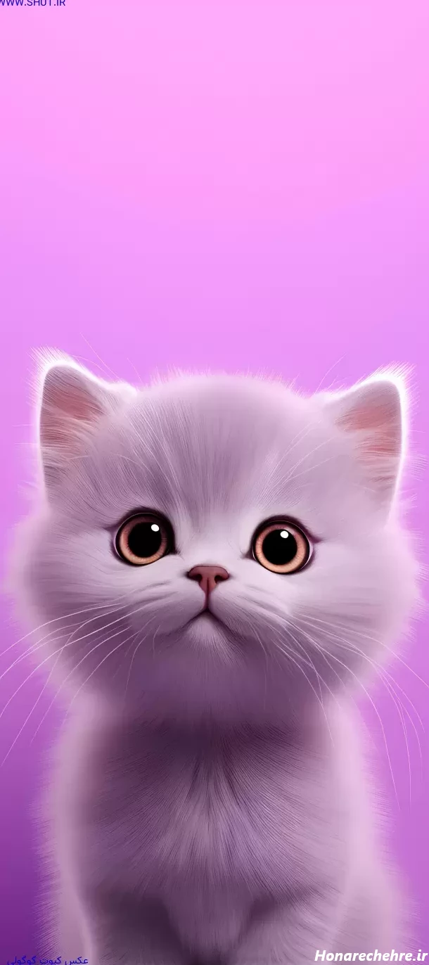 عکس حیوانات کیوت فانتزی