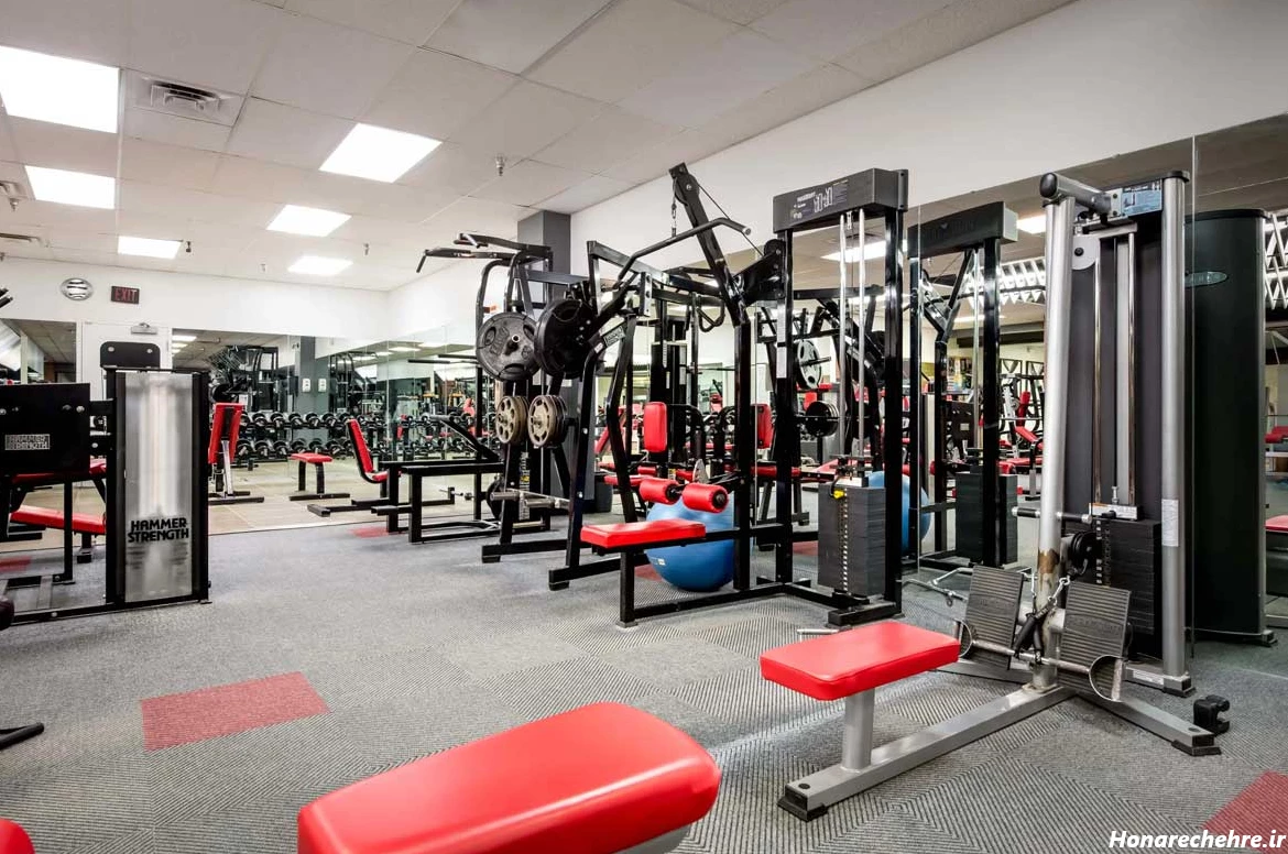 عکس باشگاه بدنسازی بانوان برای پروفایل