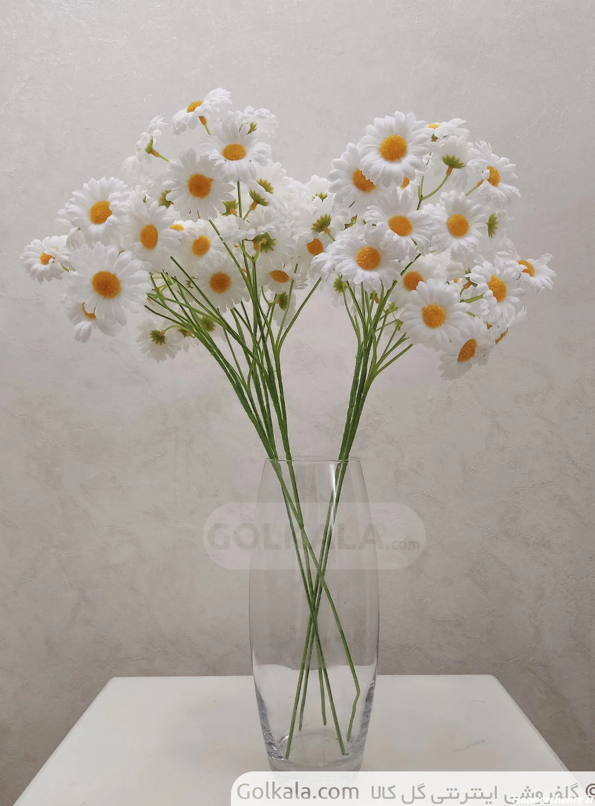 بوته گل بابونه ۲۷ گل | فروشگاه اینترنتی گلکالا (خرید آنلاین ...