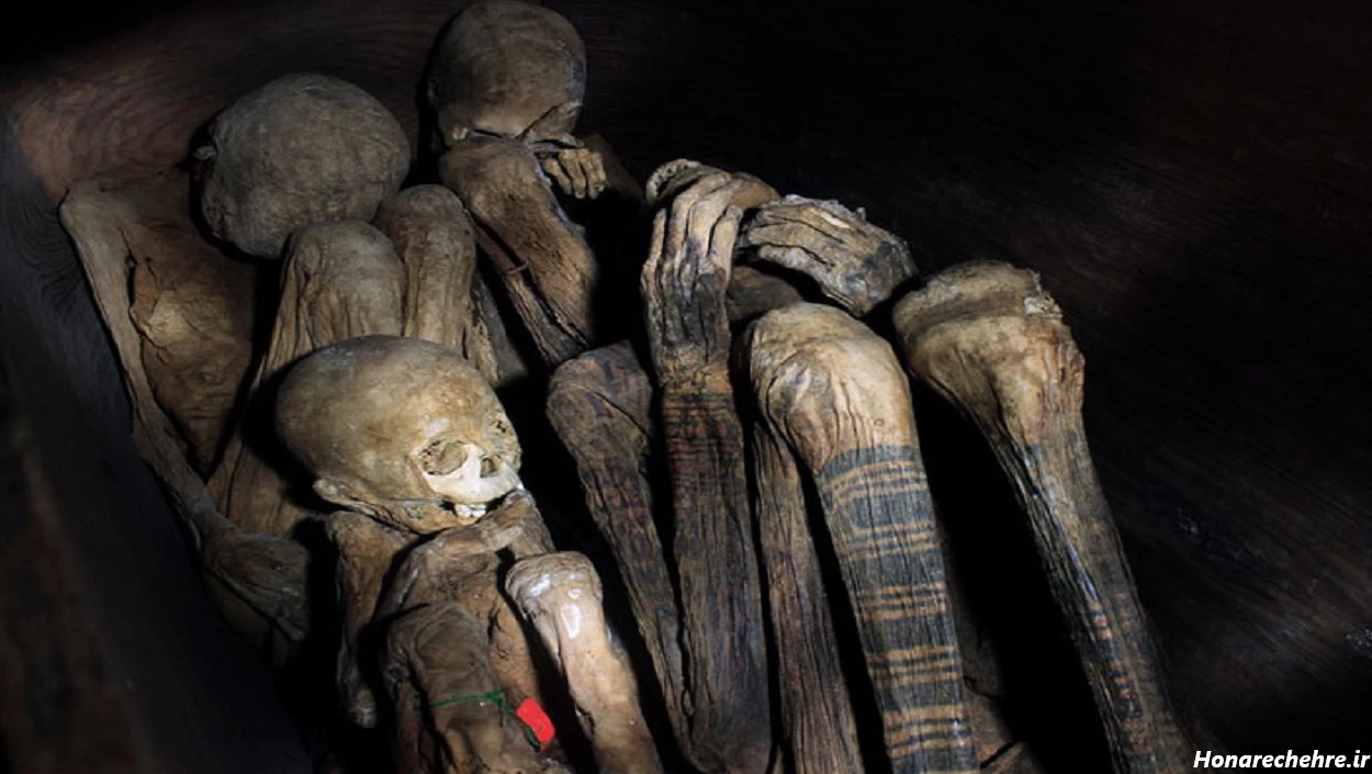 عکس اسکلت واقعی انسان