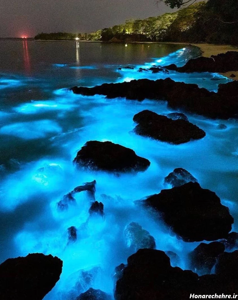 عکس قشم در شب