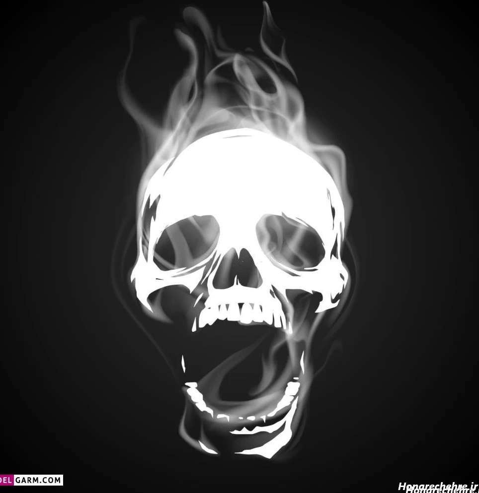 عکس اسکلت واقعی انسان