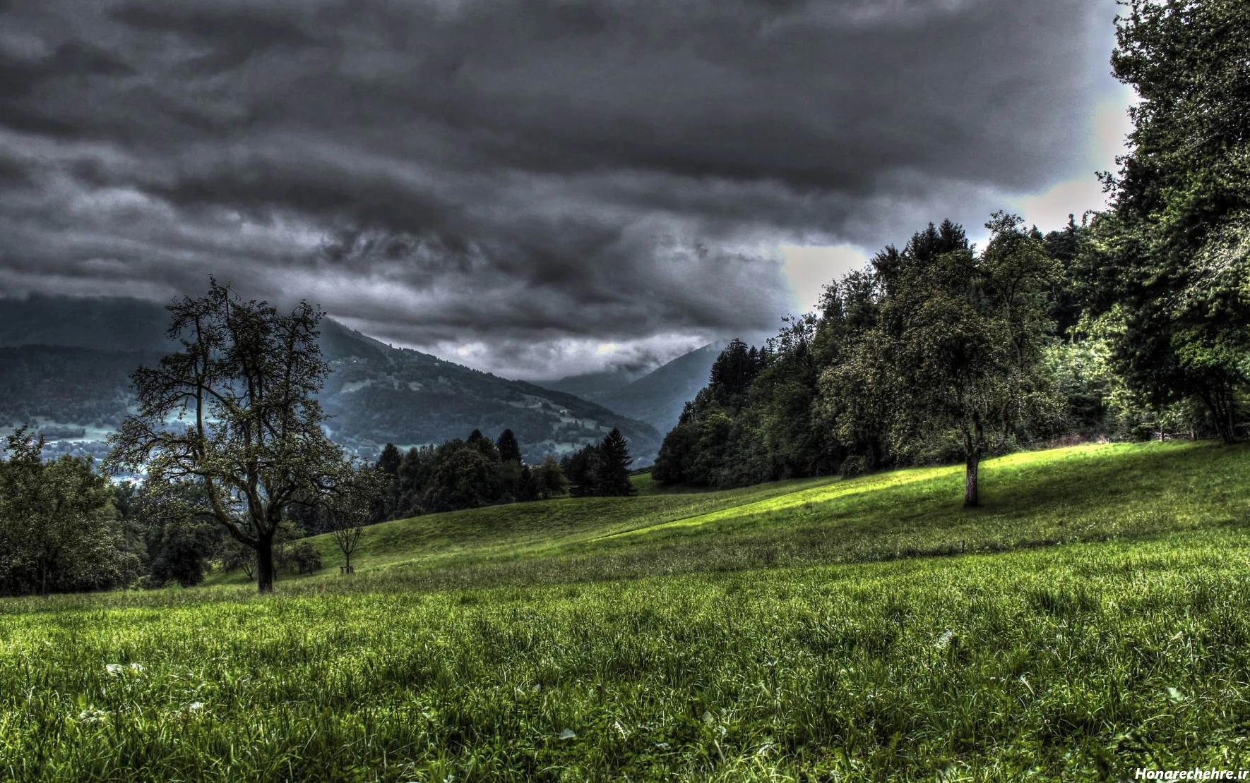 عکس باران برای پروفایل