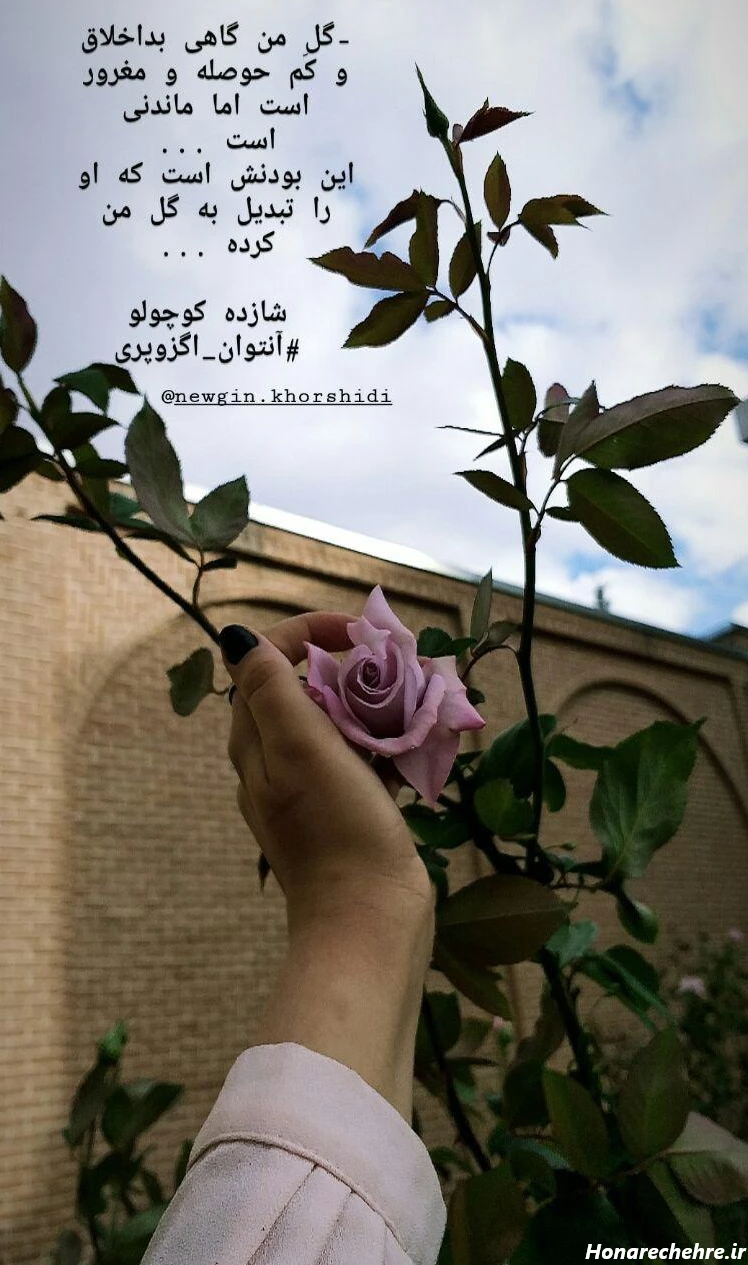 عکس با کیفیت برای پروفایل واتساپ