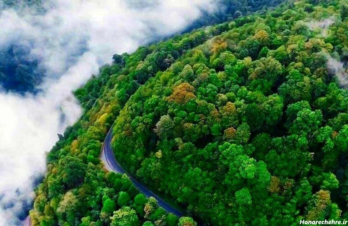 گالری عکس طبیعت