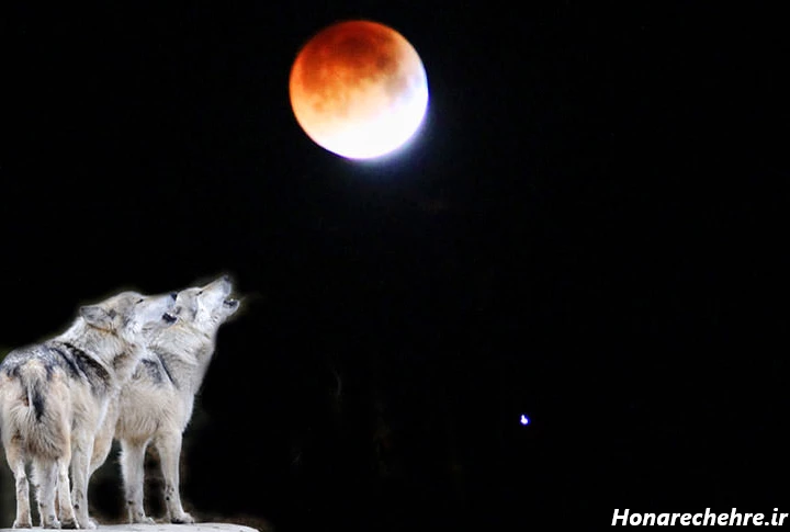 عکس ماه گرفتگی و خورشید گرفتگی