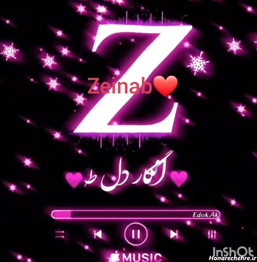 کلیپ زینب