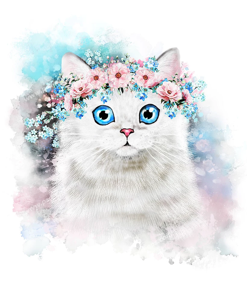 عکس گربه پرشین سیاه