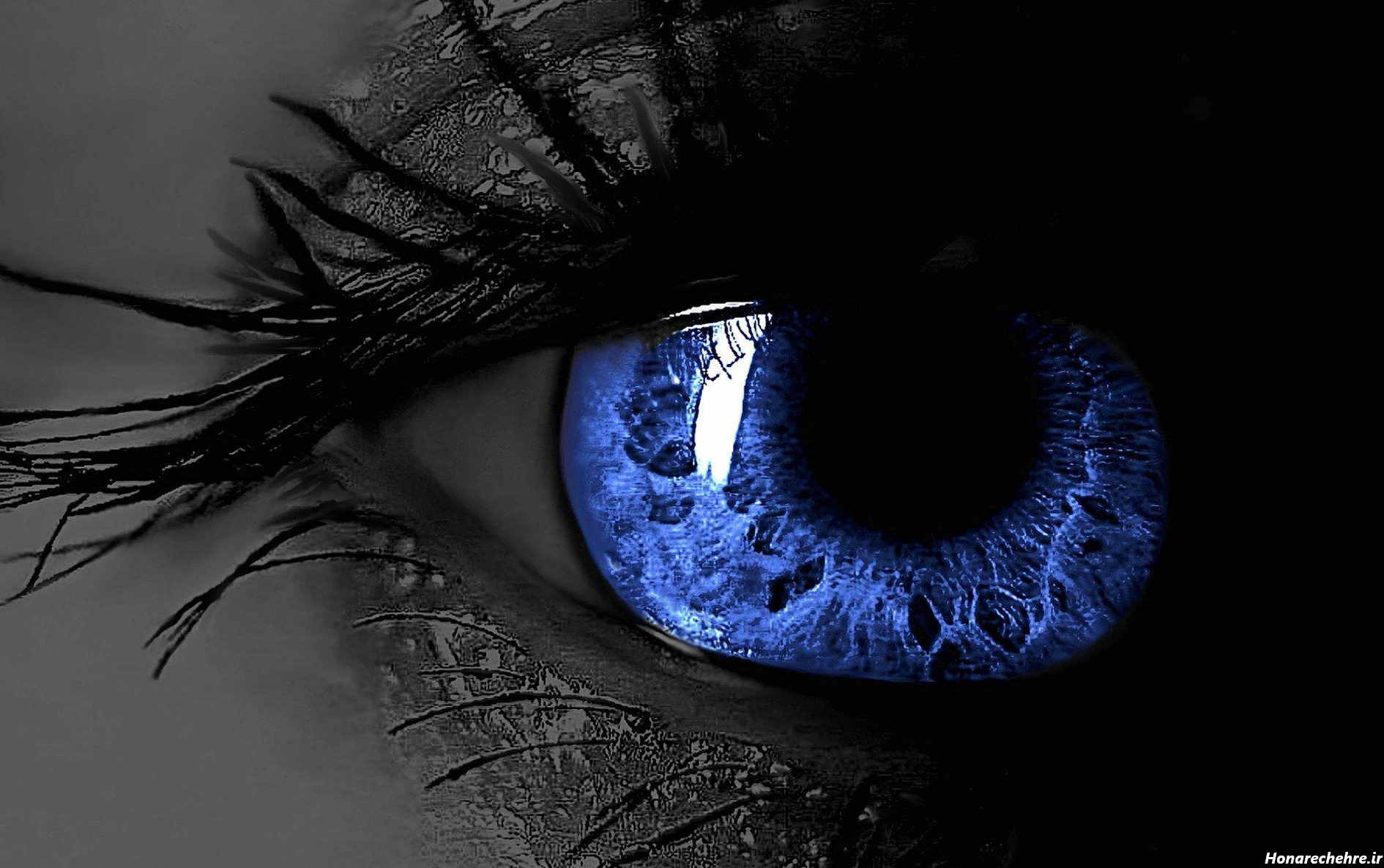 تصویر زمینه پسرانه ترسناک متحرک