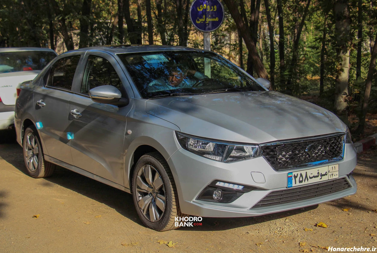 تارا خاکستری و نقره ای