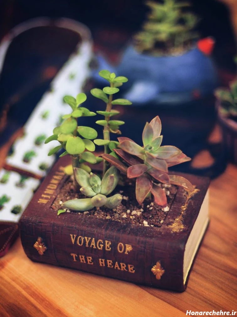 عکس کتاب ساده