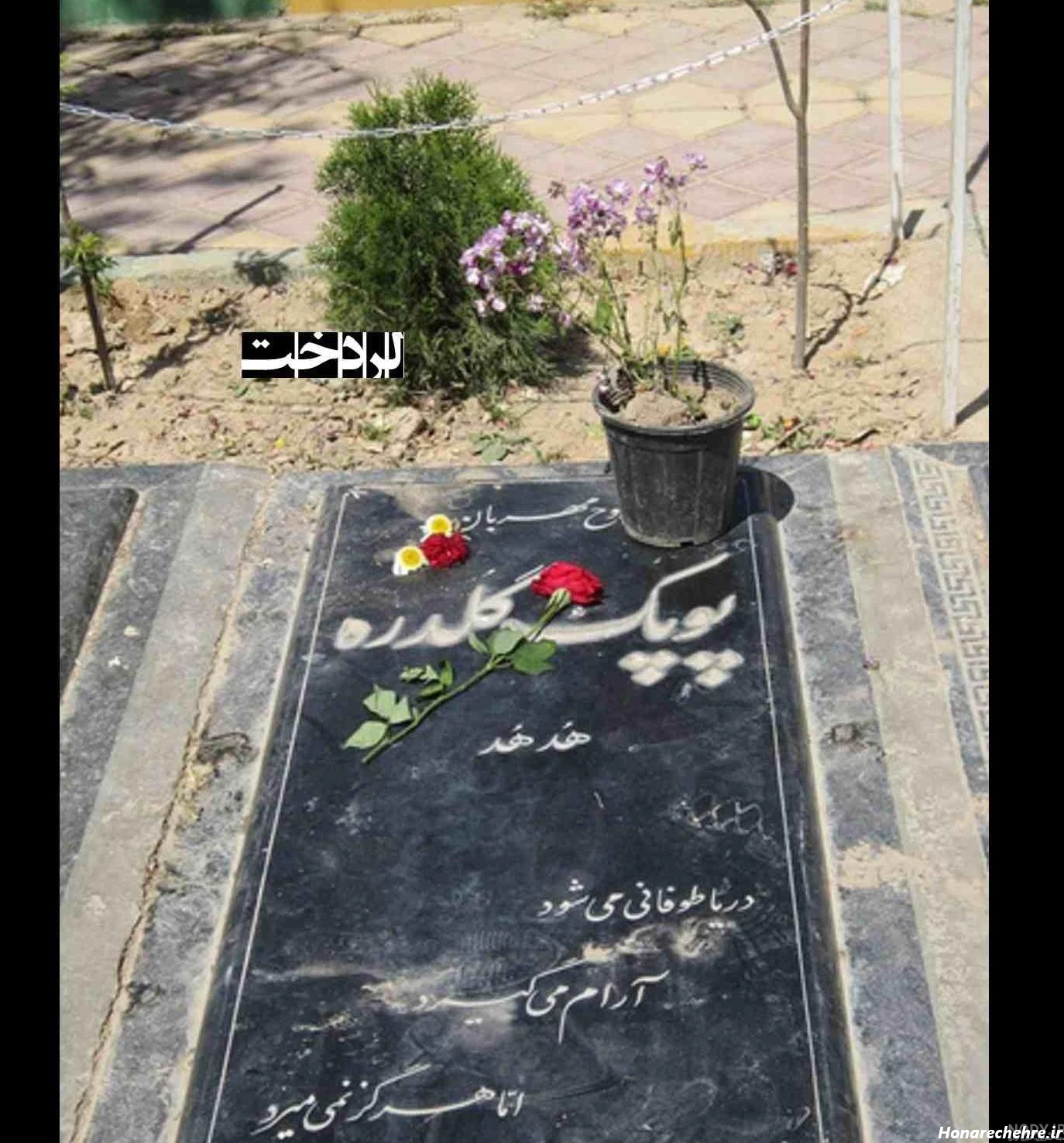 عکس بازیگر پوپک گلدره - عکس نودی