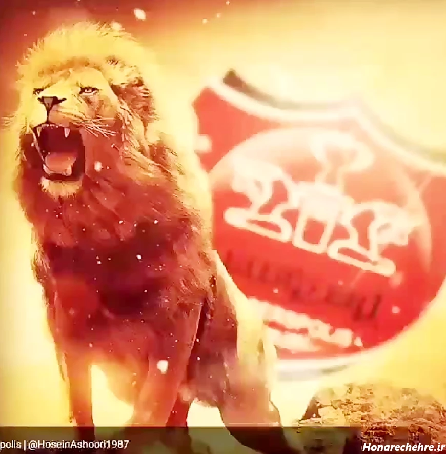 عکس شیر پرسپولیس جدید