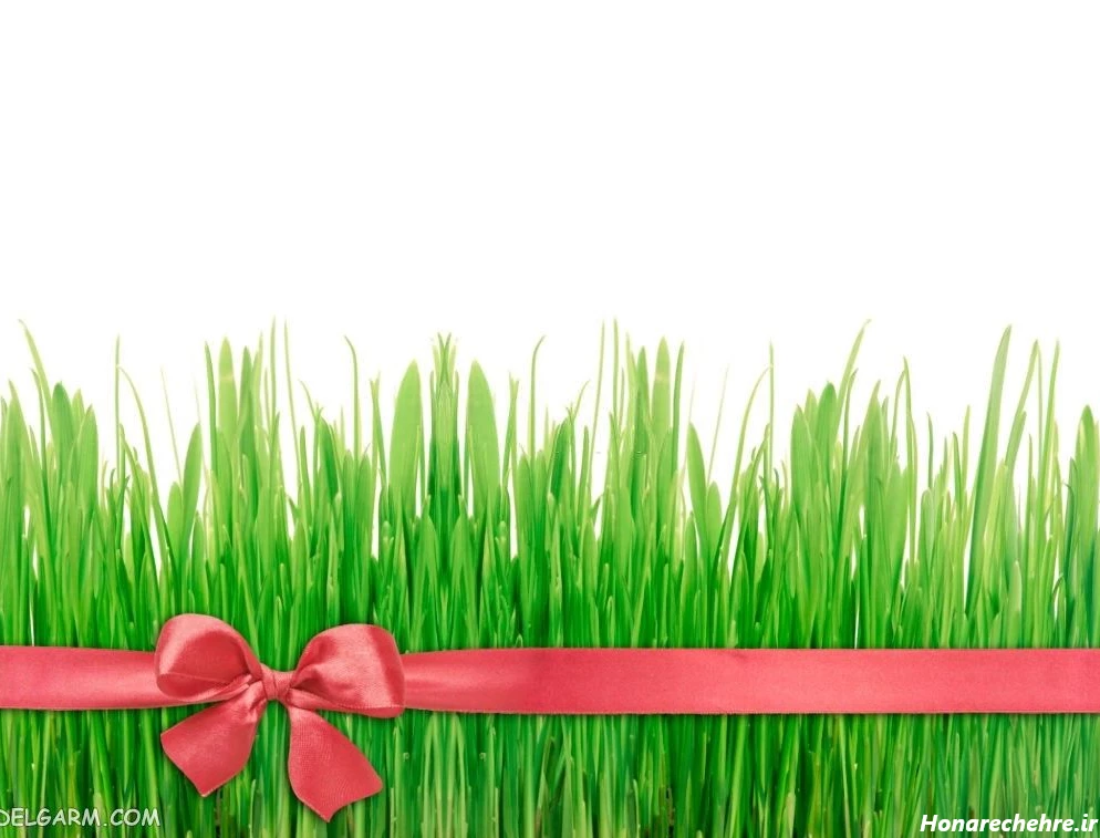 عکس نوروز باستانی