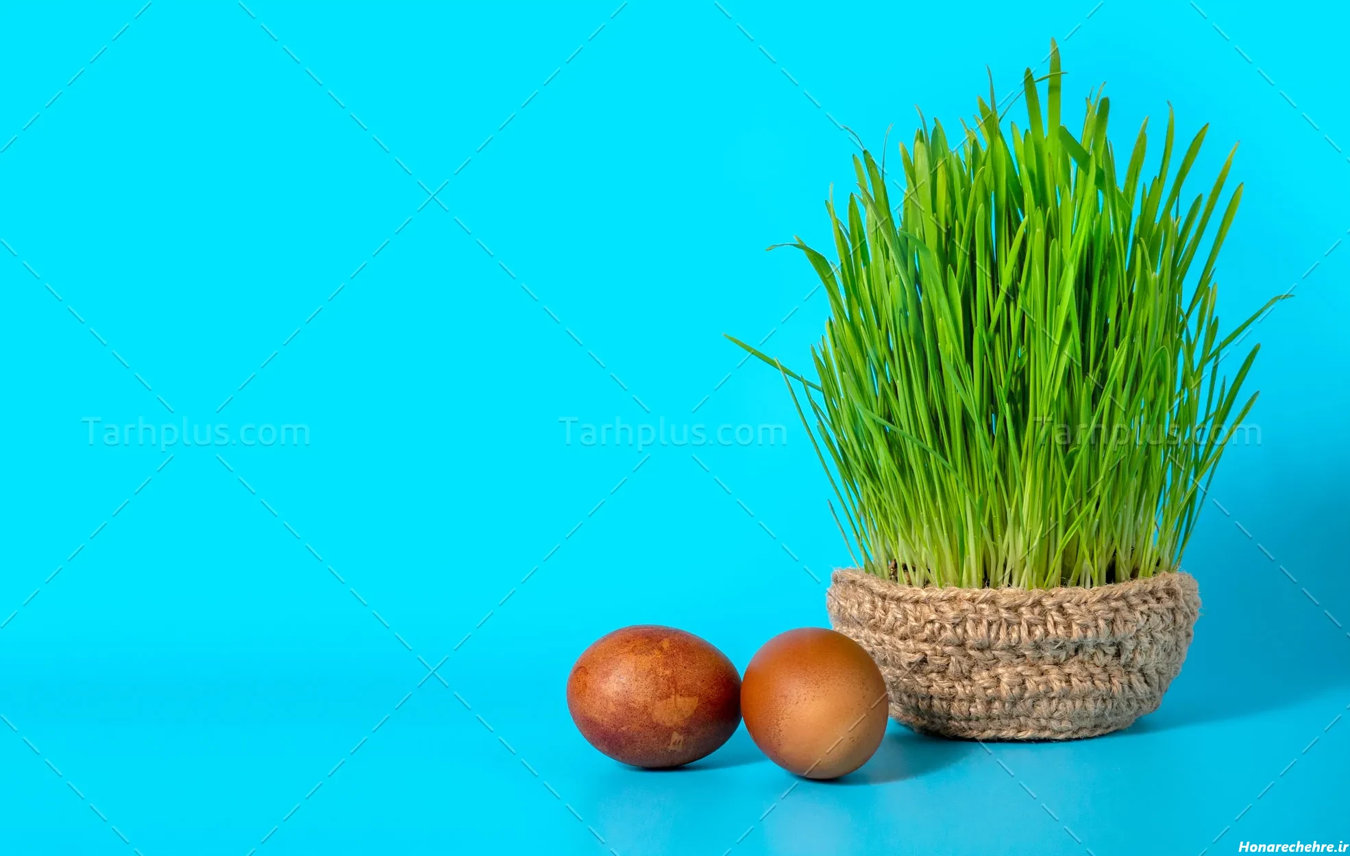 عکس نوروز باستانی