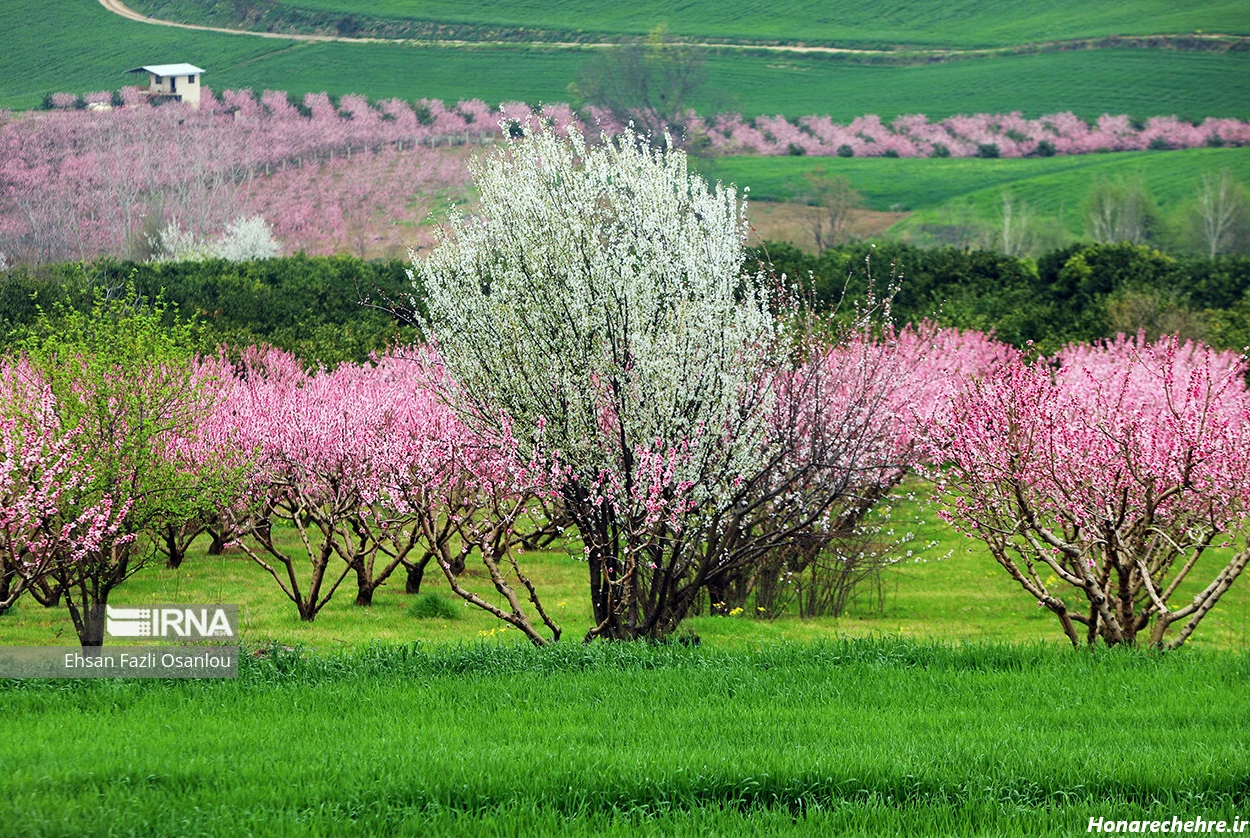 زیباترین جای شمال کجاست