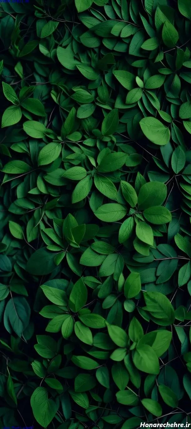 عکس سبز پاستیلی