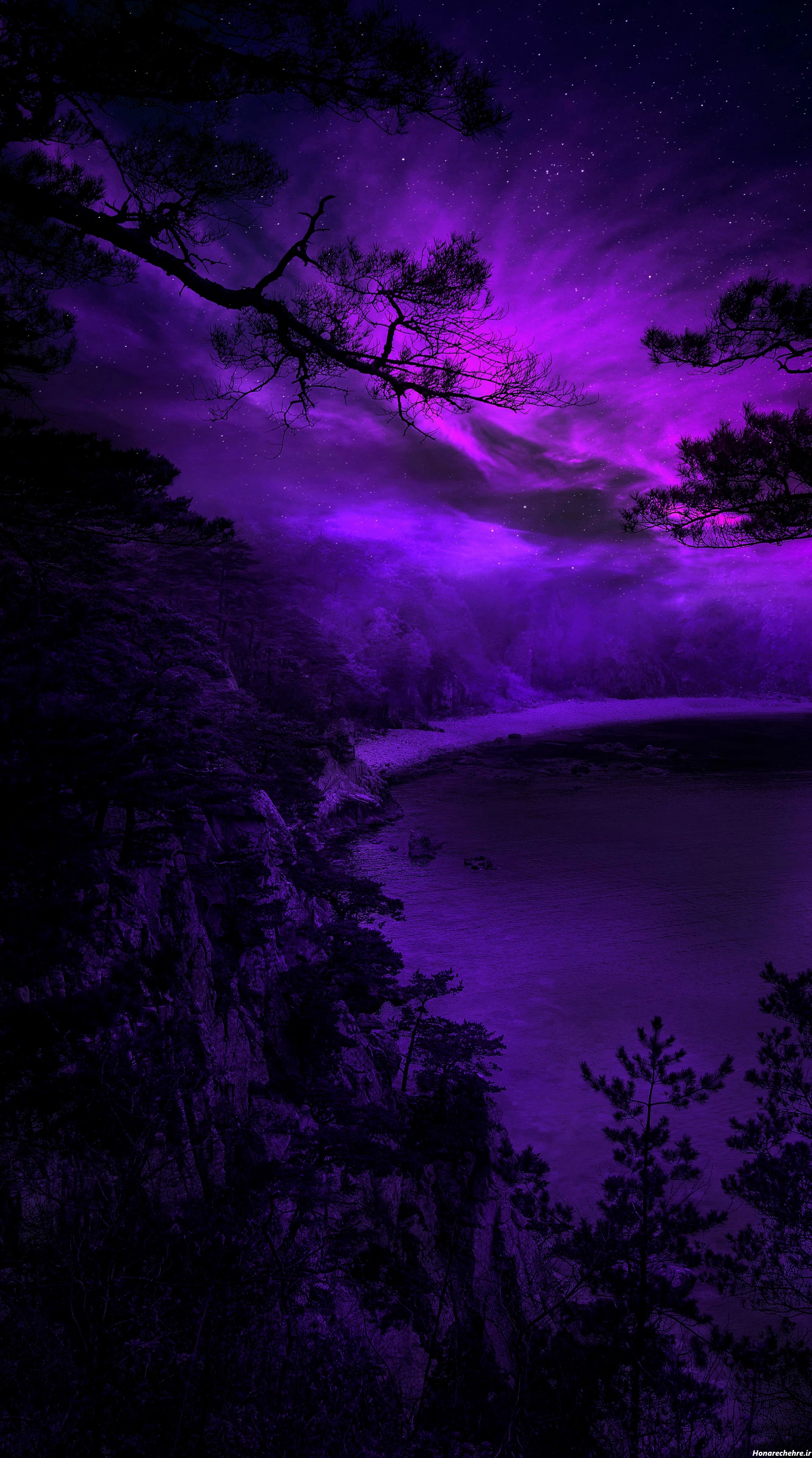 بک گراند بنفش ساده