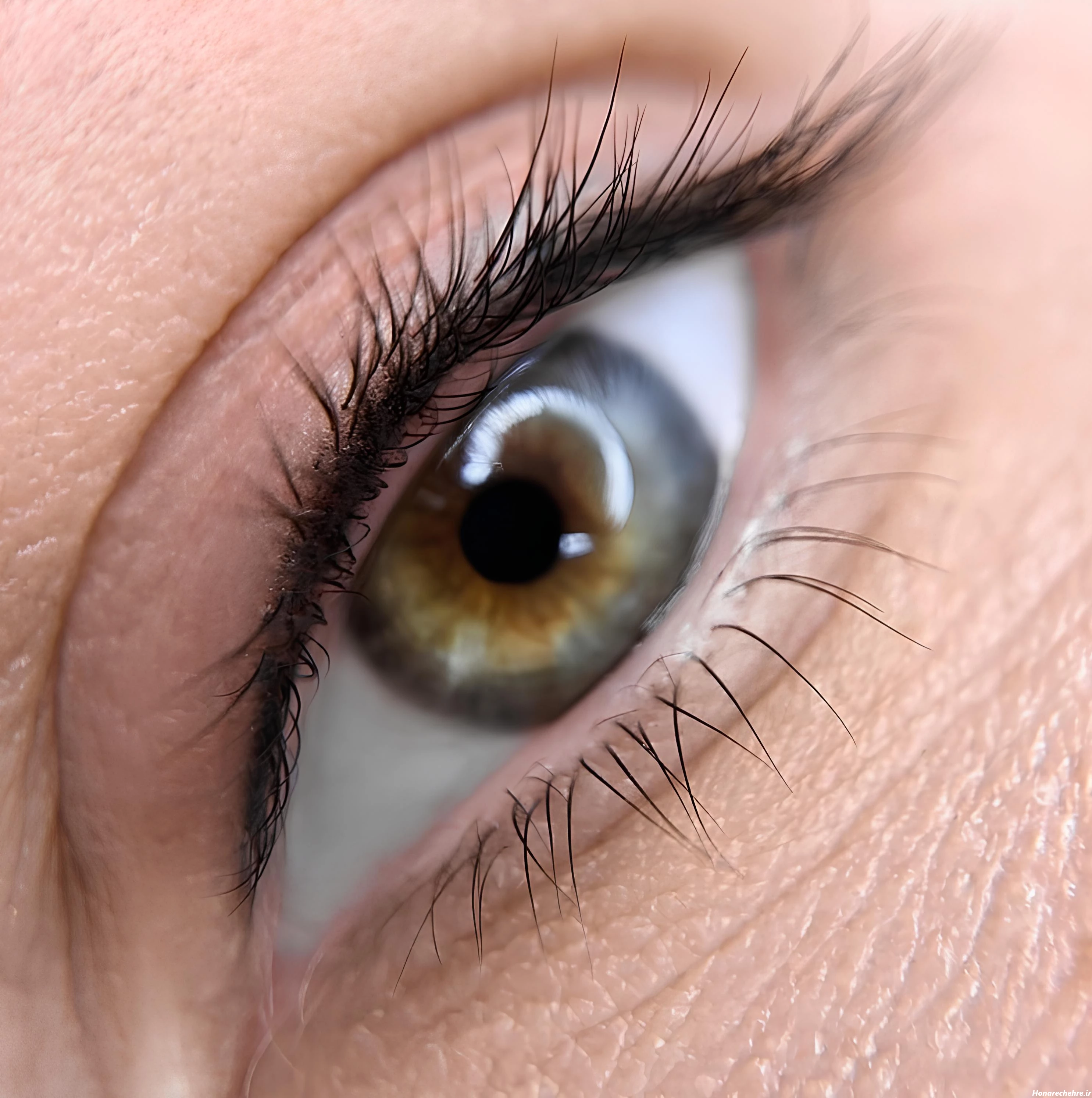 عکس چشم واقعی برای پروفایل