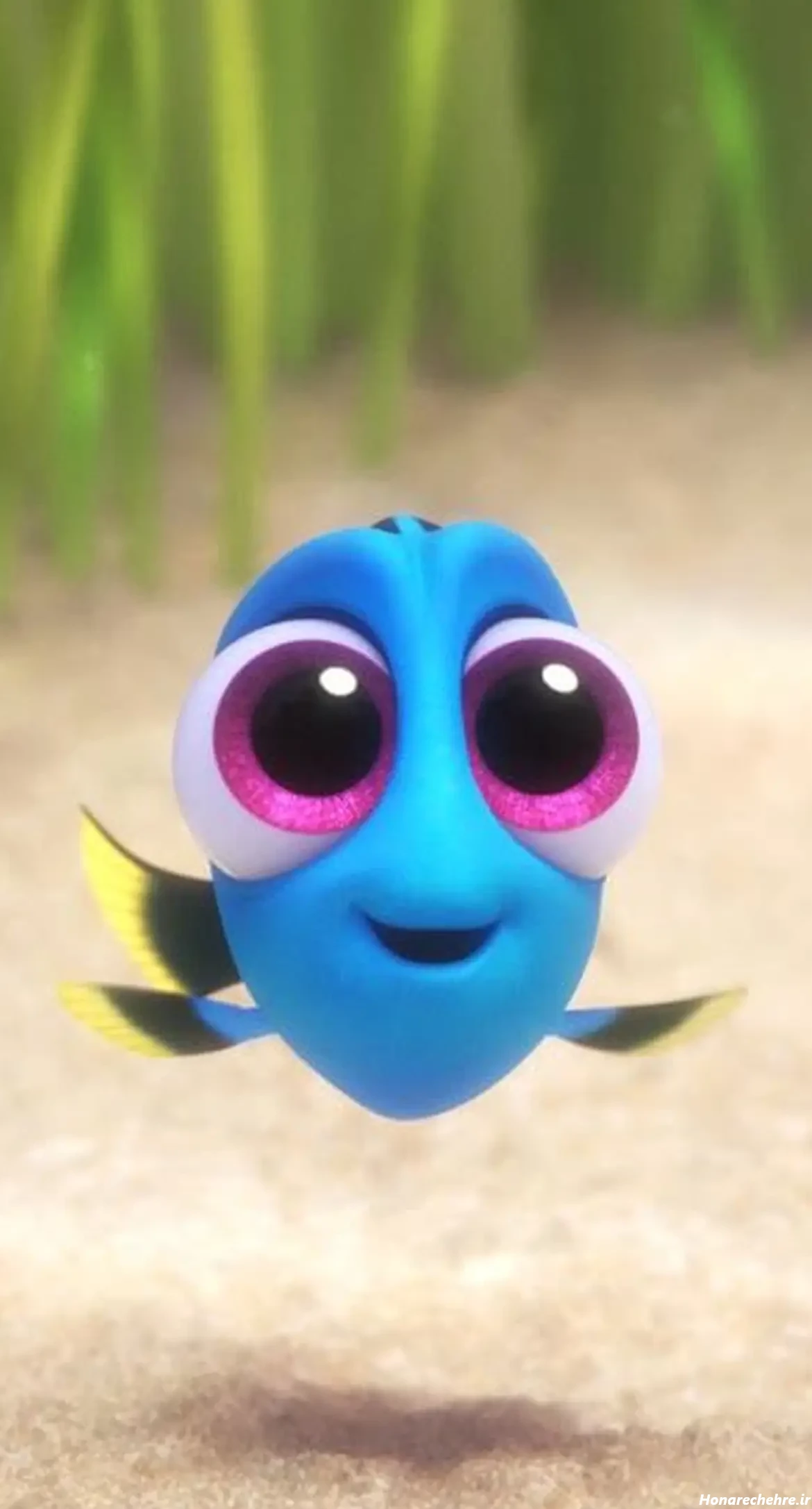 پس زمینه ست عاشقانه