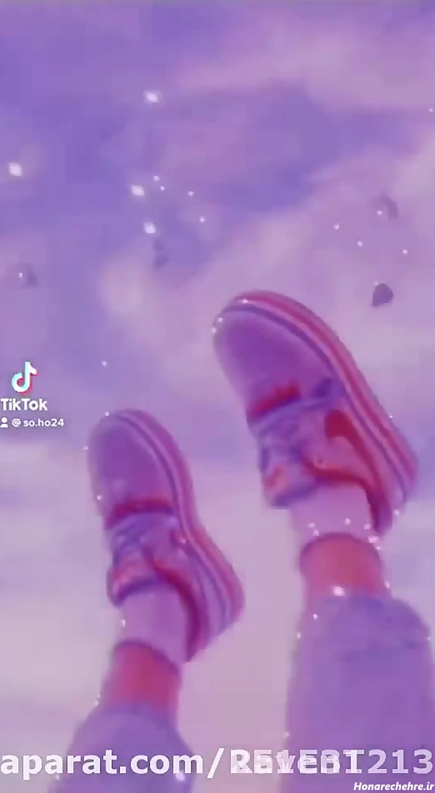 بک گراند بنفش ساده