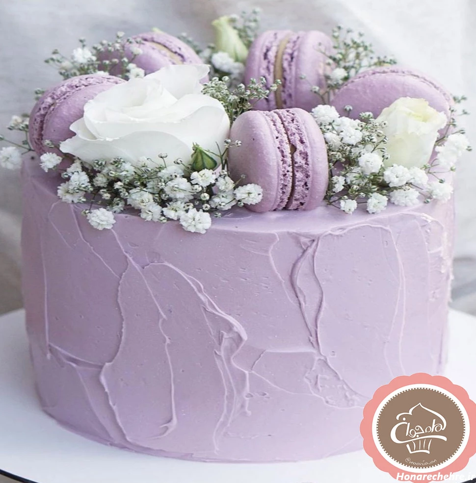 کیک پاپیونی ترند اینستا