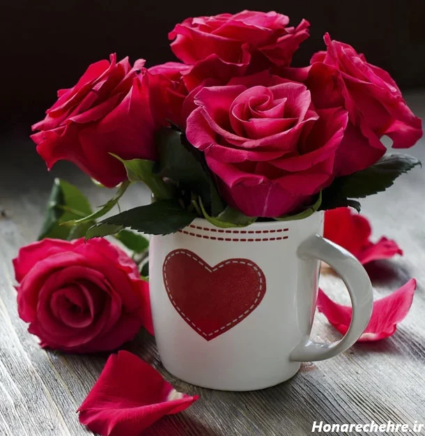 عکس گل برای پروفایل واتساپ نوشته دار