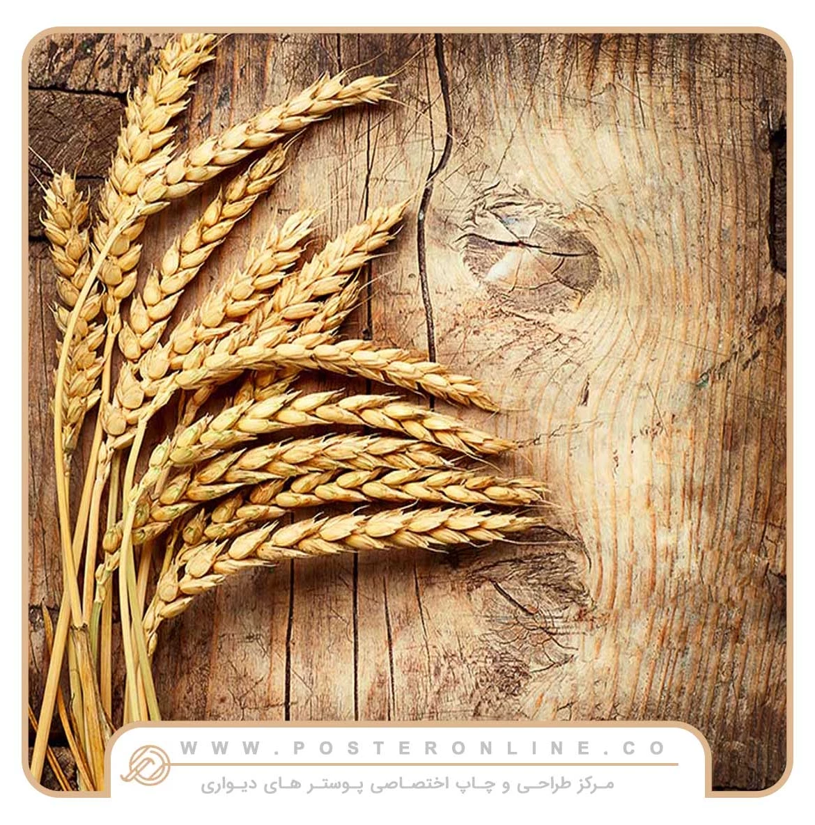 پوستر دیواری خوشه گندم + ارسال فوری