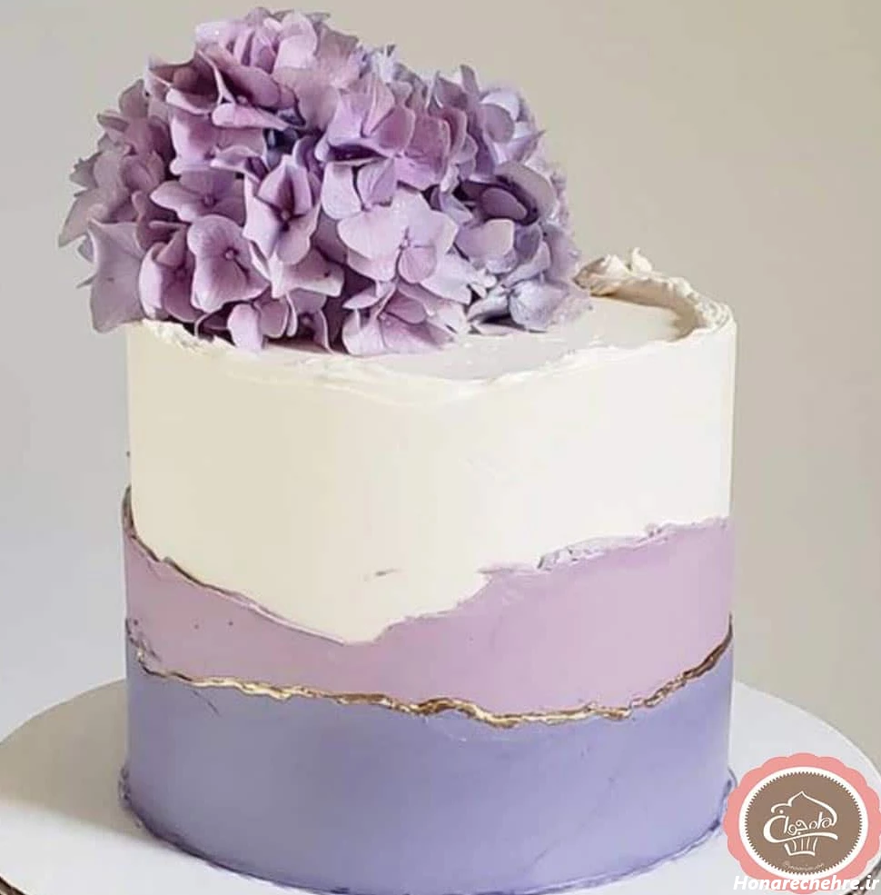 کیک پاپیونی ترند اینستا