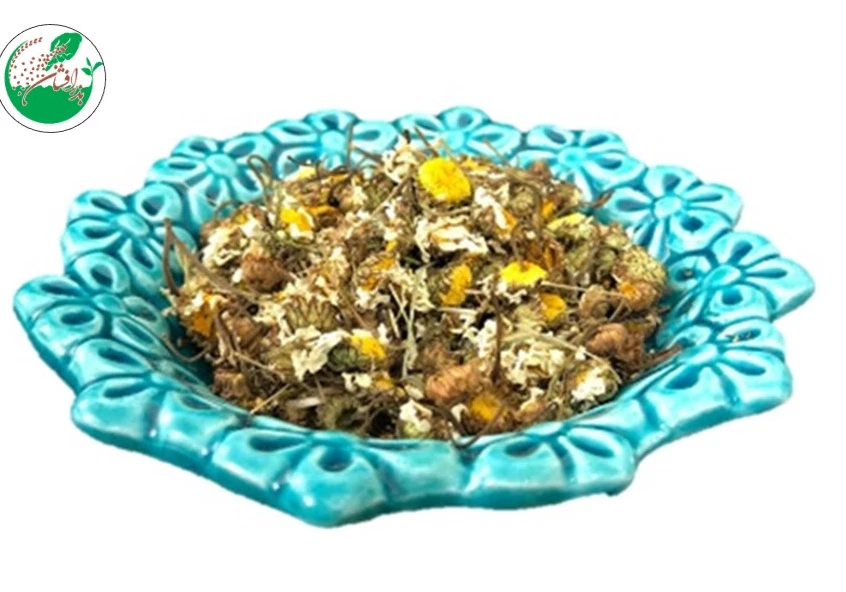 بابونه شیرازی خواص بابونه
