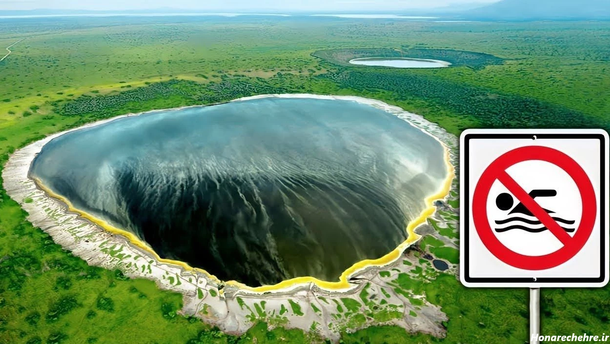 عکس جنگل ترسناک ایران