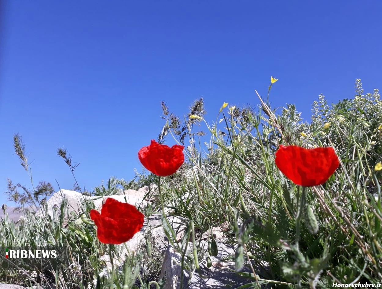 زیباترین جای شمال کجاست