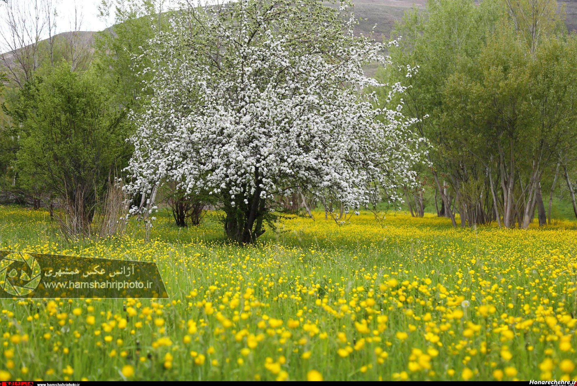 زیباترین جای شمال کجاست