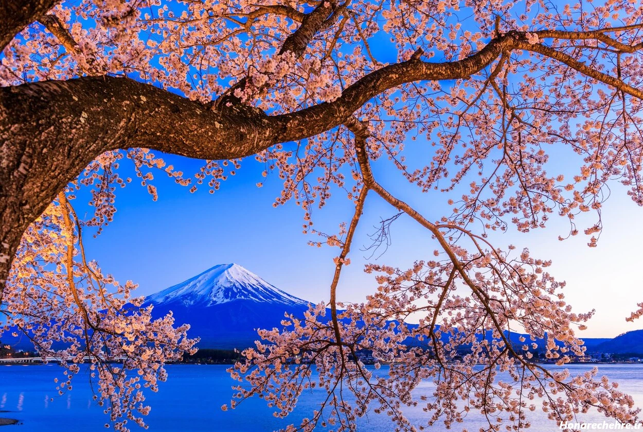 زیباترین جای شمال کجاست