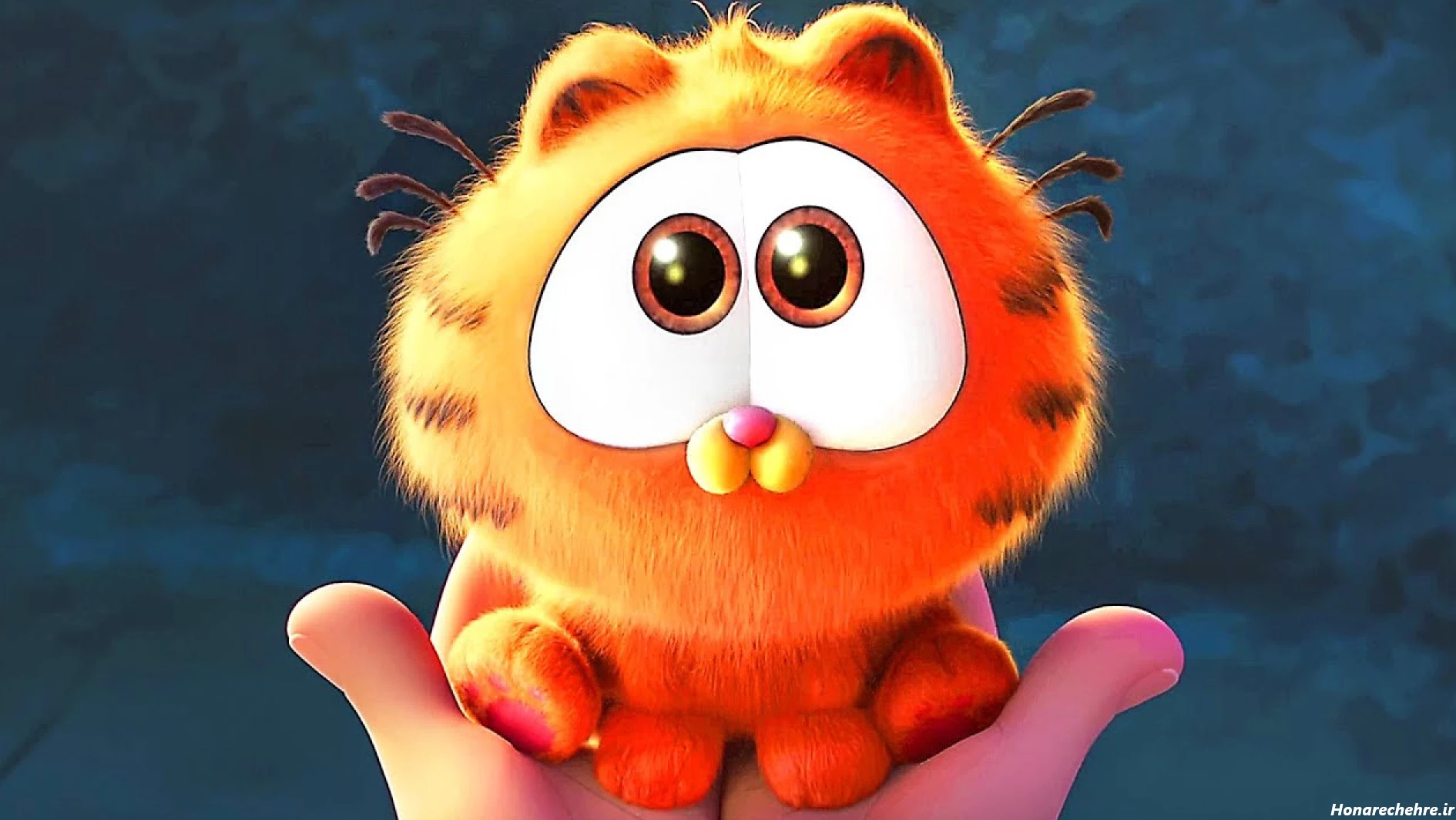 عکس گارفیلد برای پروفایل