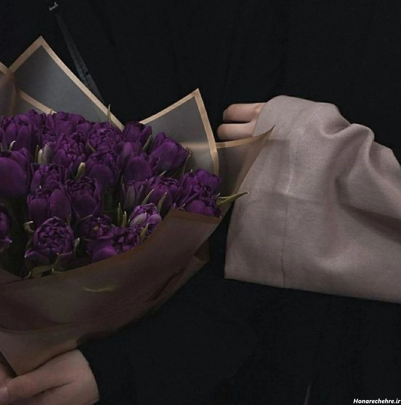 عکس بنفش لاکچری