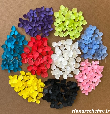 گل هورتانسیا (وارداتی)