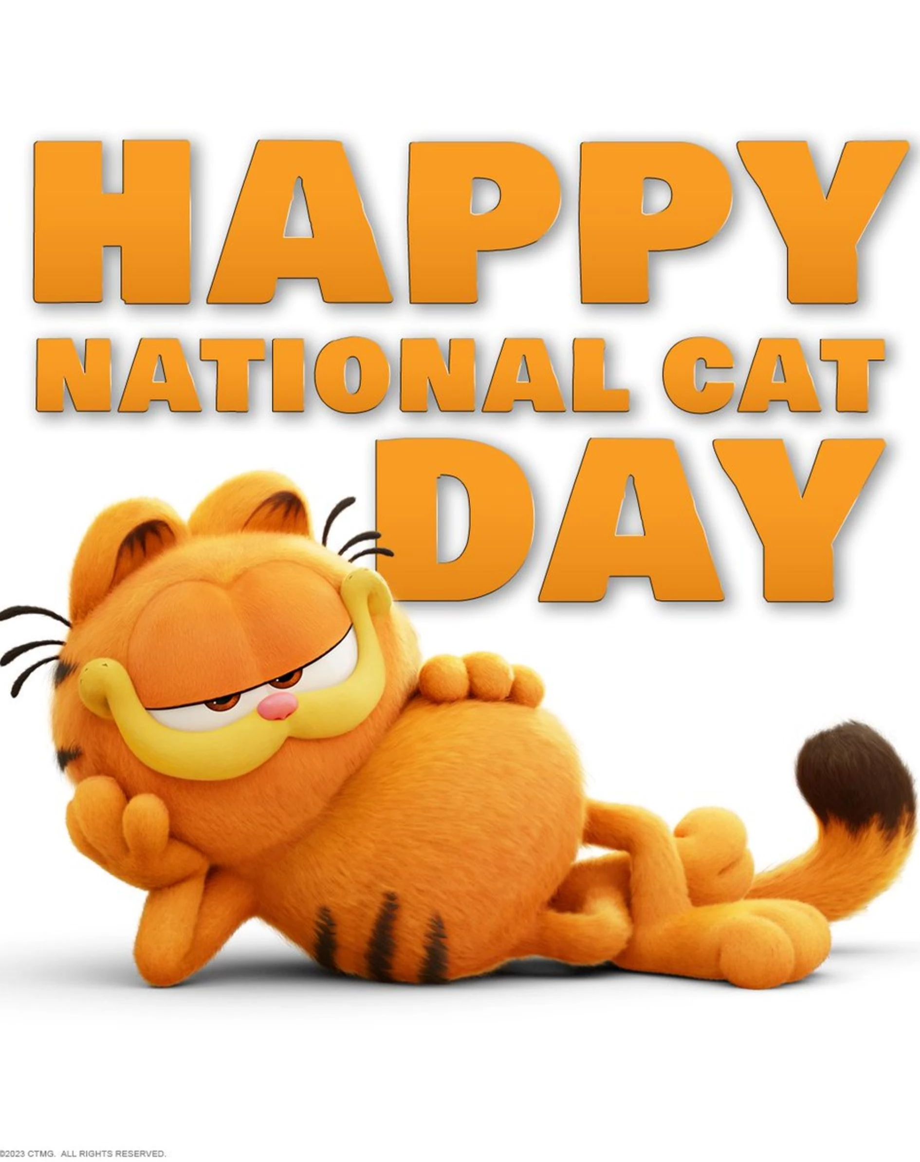 عکس گارفیلد برای پروفایل