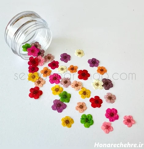 گل اسپیره وارداتی