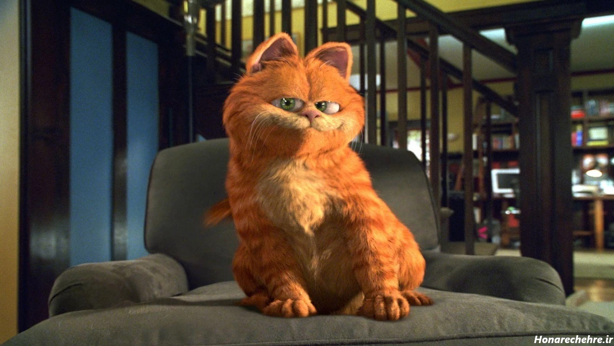 عکس گارفیلد برای پروفایل