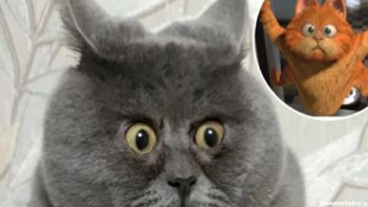 عکس گارفیلد برای پروفایل