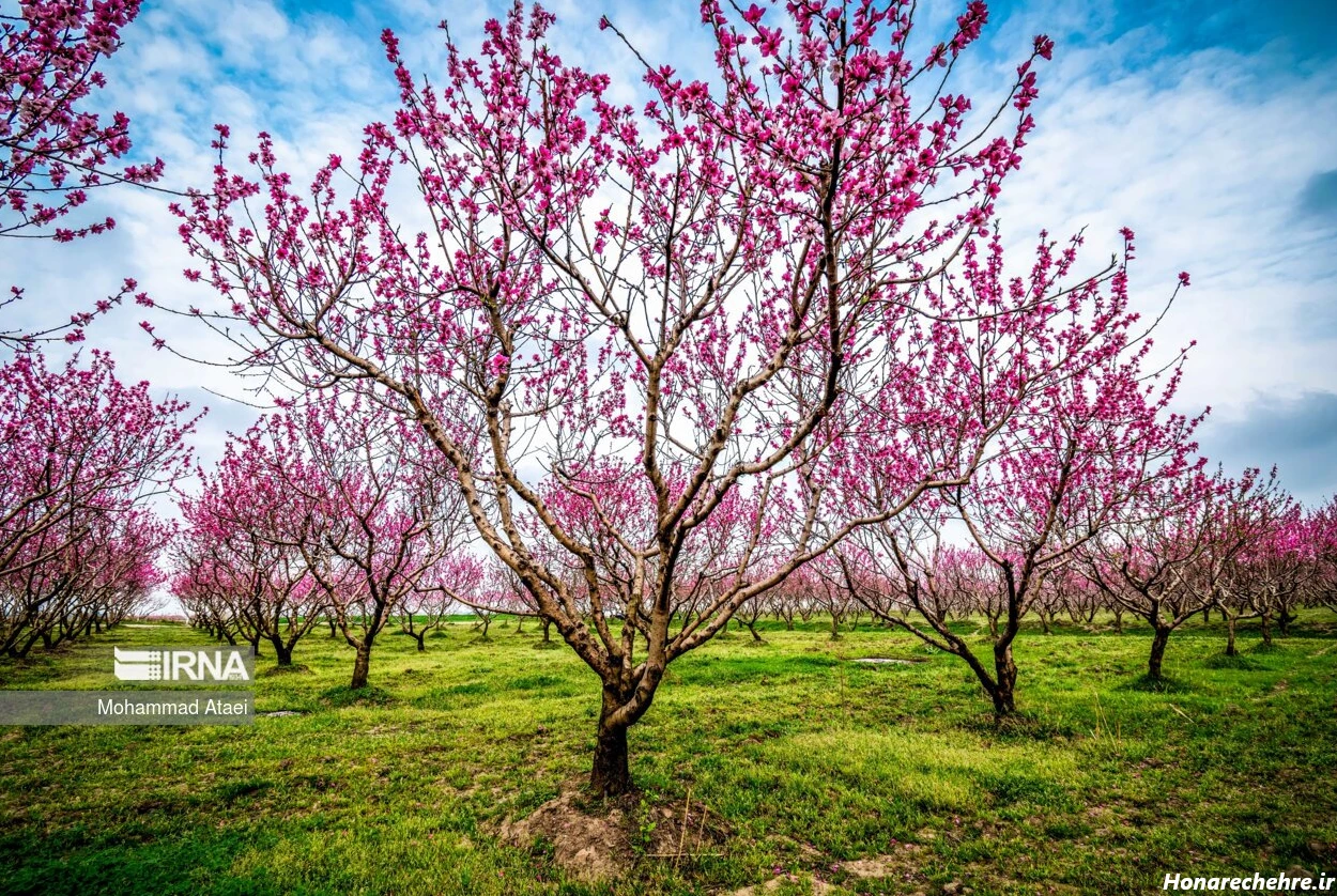 زیباترین جای شمال کجاست