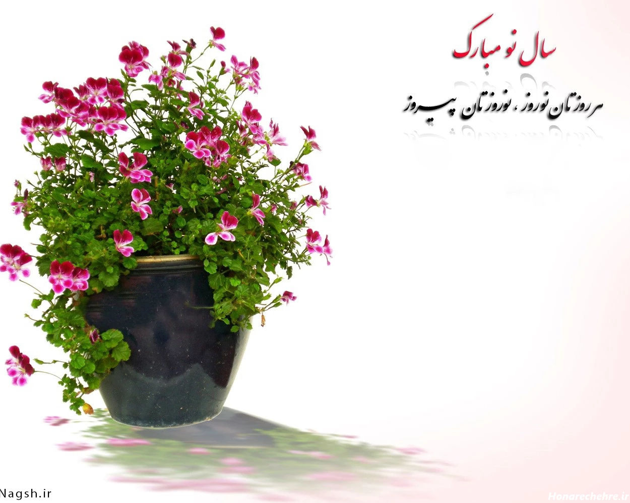 عکس نوروز باستانی