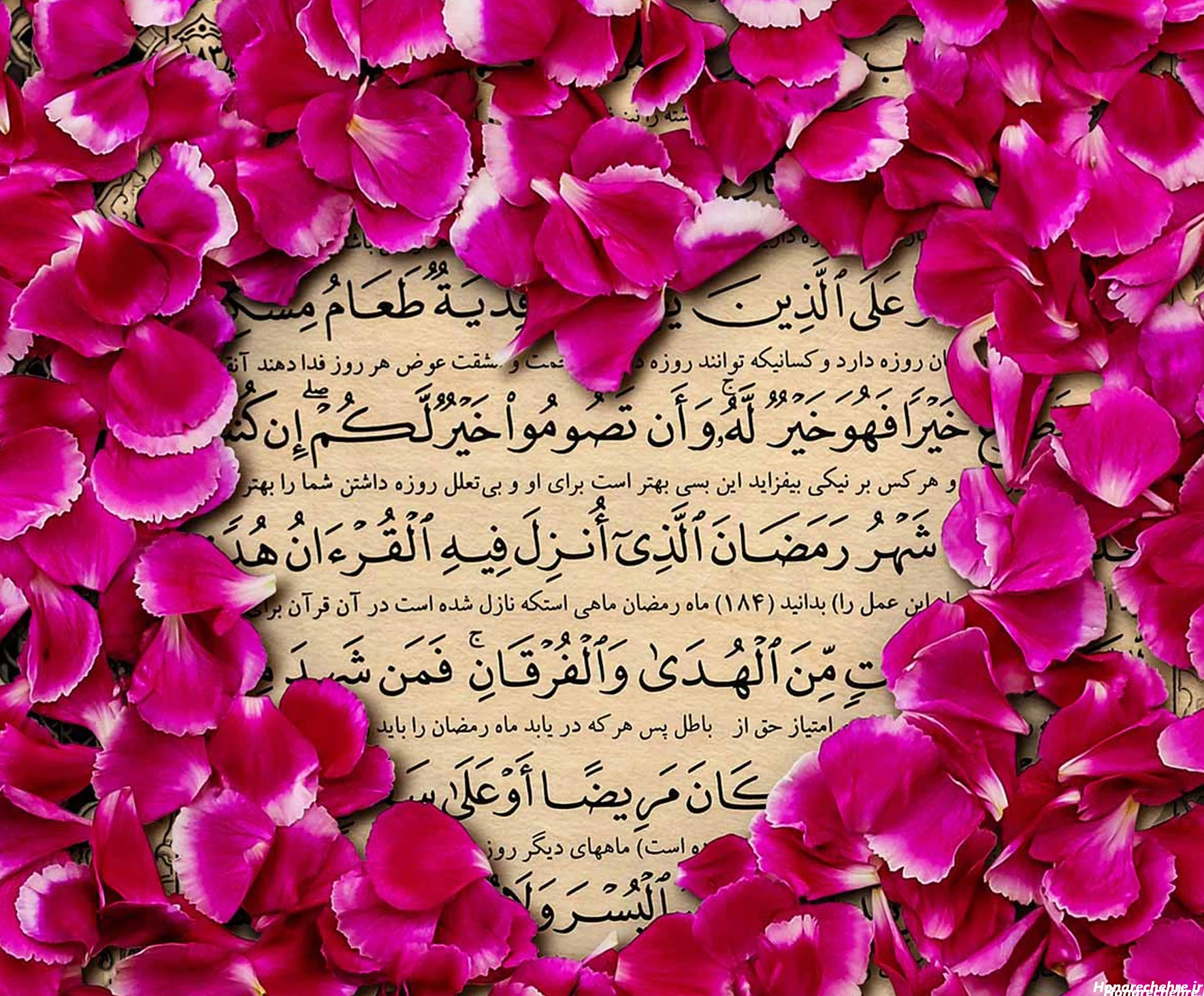 عکس با کیفیت برای پروفایل واتساپ